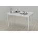 Стіл кухонний Ferrum-decor Маріо 75x120x70 Білий ДСП Білий 16мм (FRD-106198)