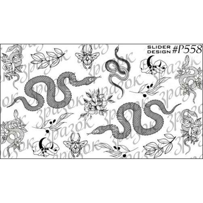 Слайдер дизайн №558