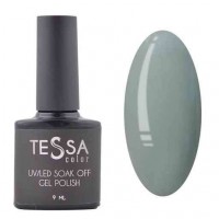 Гель-лак Tessa 9 мл №071 - сірий
